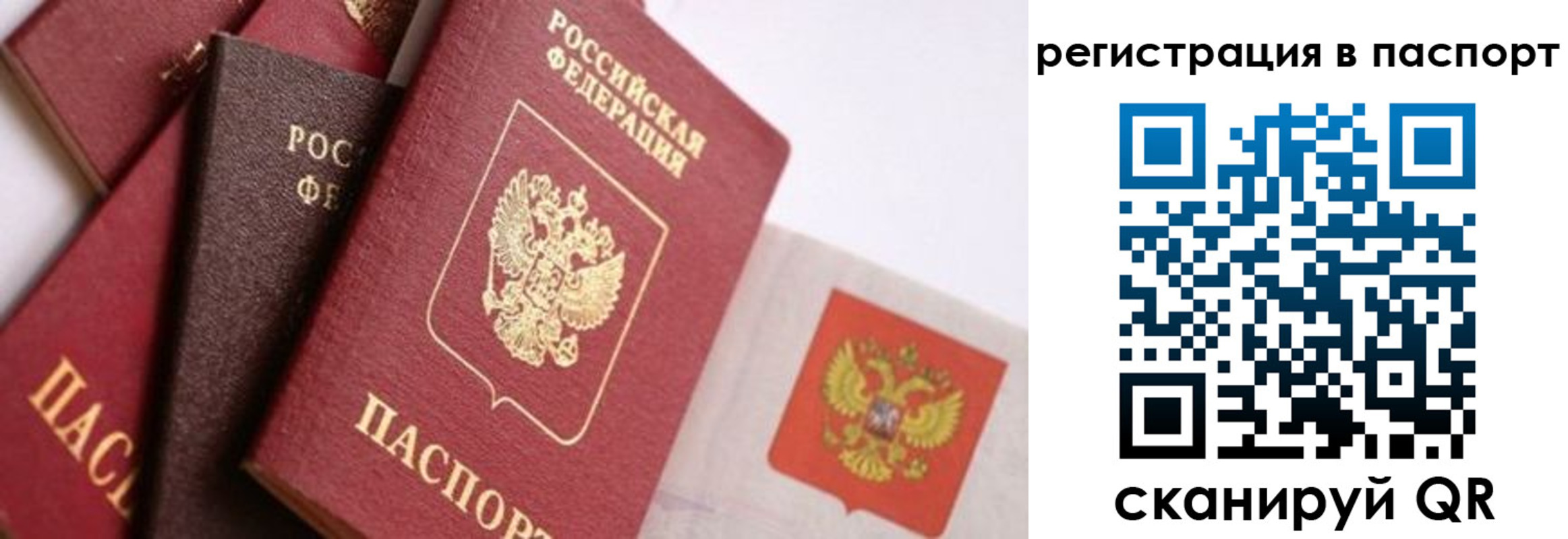 прописка в квартире в Сланцах